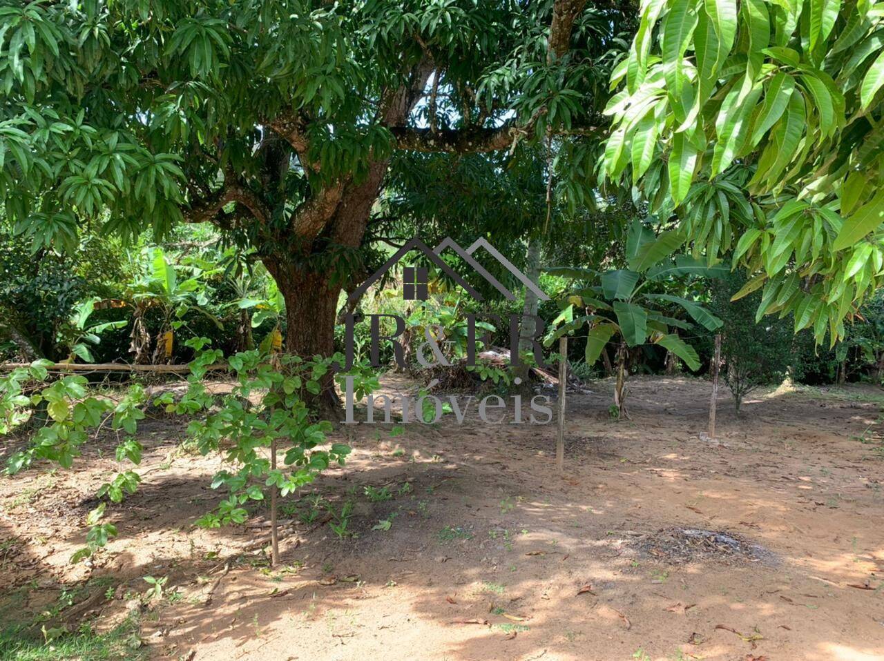 Fazenda à venda com 3 quartos, 200m² - Foto 4