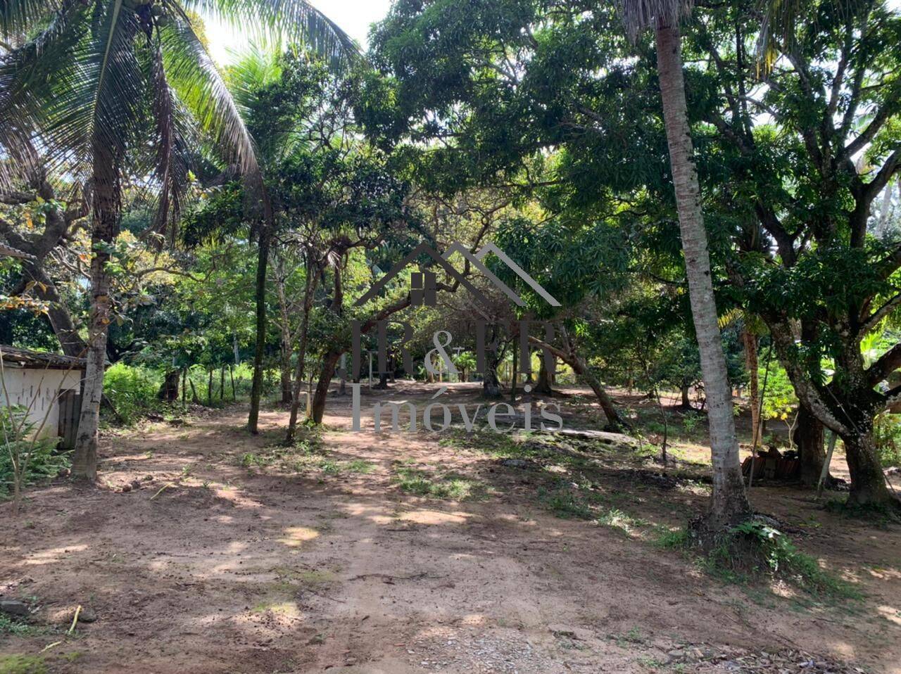 Fazenda à venda com 3 quartos, 200m² - Foto 5