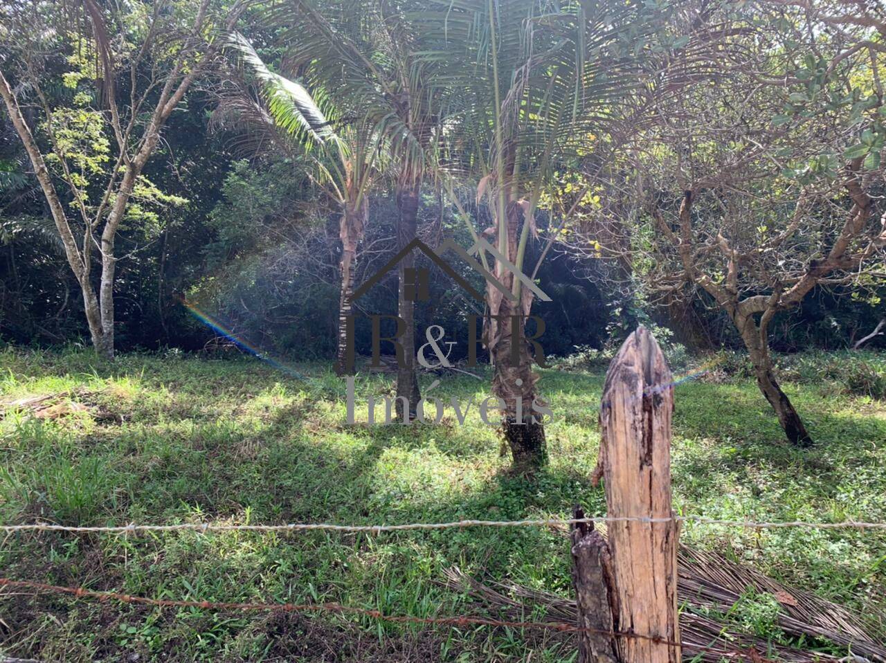 Fazenda à venda com 3 quartos, 200m² - Foto 10