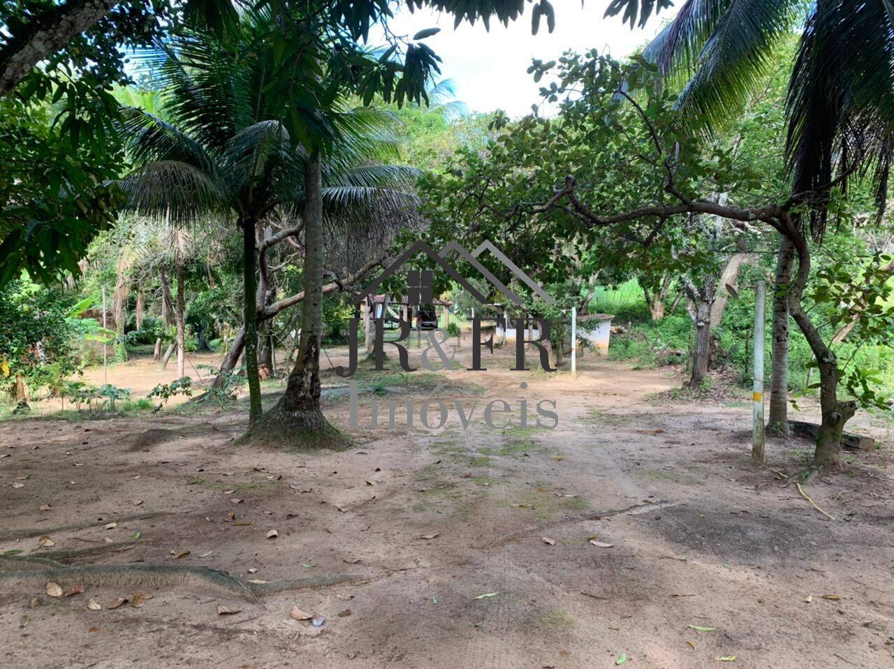 Fazenda à venda com 3 quartos, 200m² - Foto 11