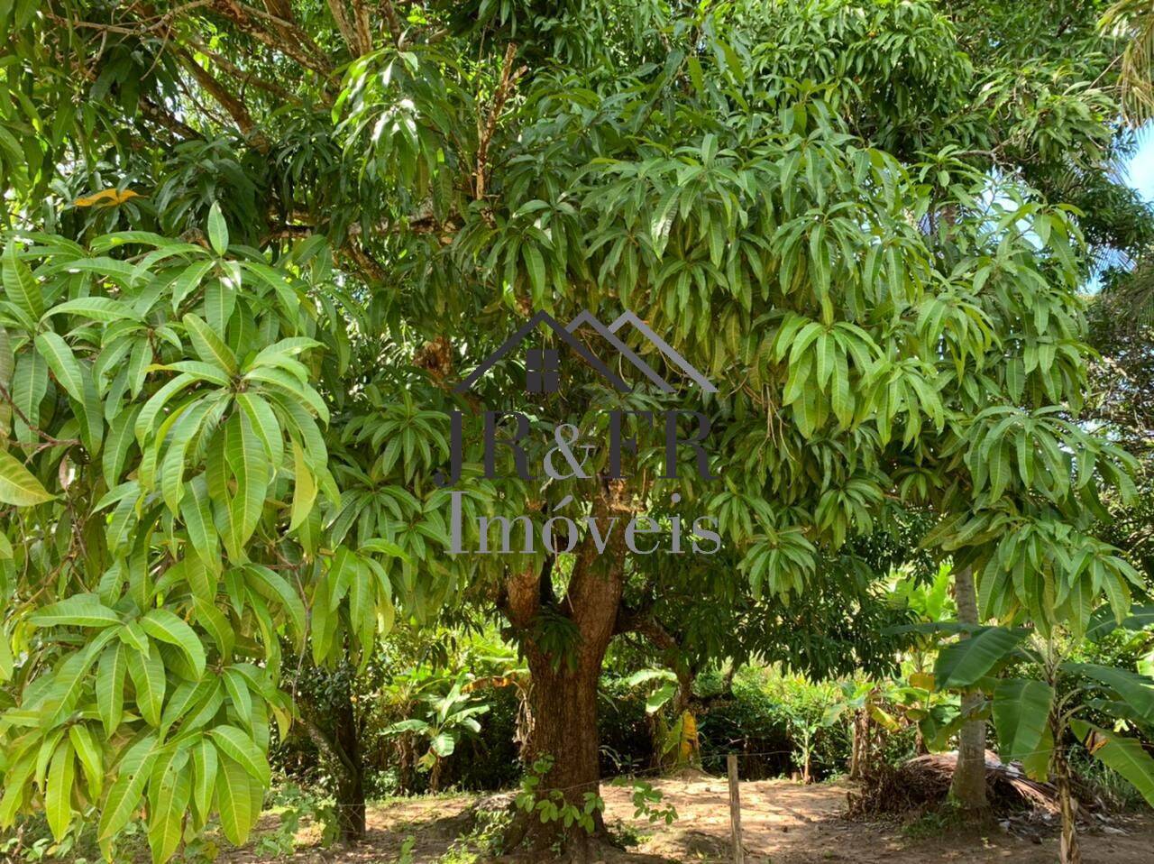 Fazenda à venda com 3 quartos, 200m² - Foto 12