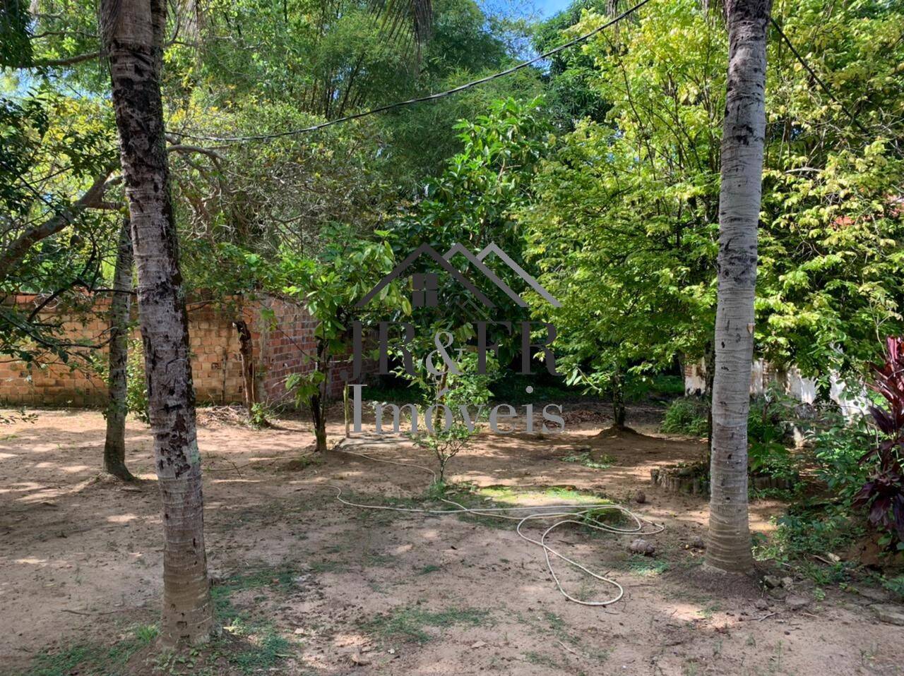 Fazenda à venda com 3 quartos, 200m² - Foto 15