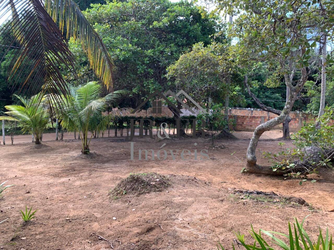 Fazenda à venda com 3 quartos, 200m² - Foto 20