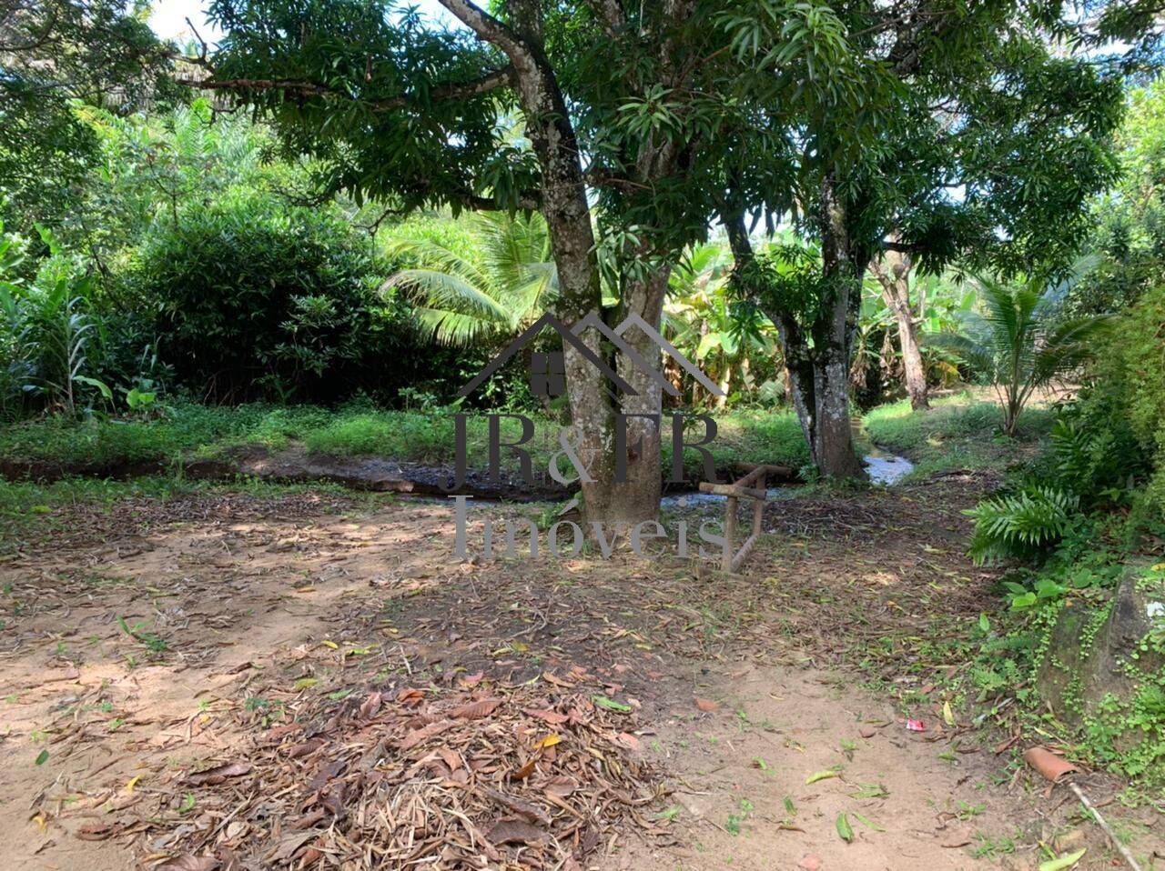 Fazenda à venda com 3 quartos, 200m² - Foto 21