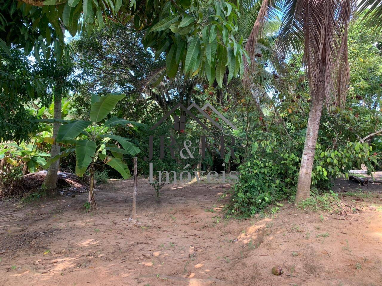 Fazenda à venda com 3 quartos, 200m² - Foto 22