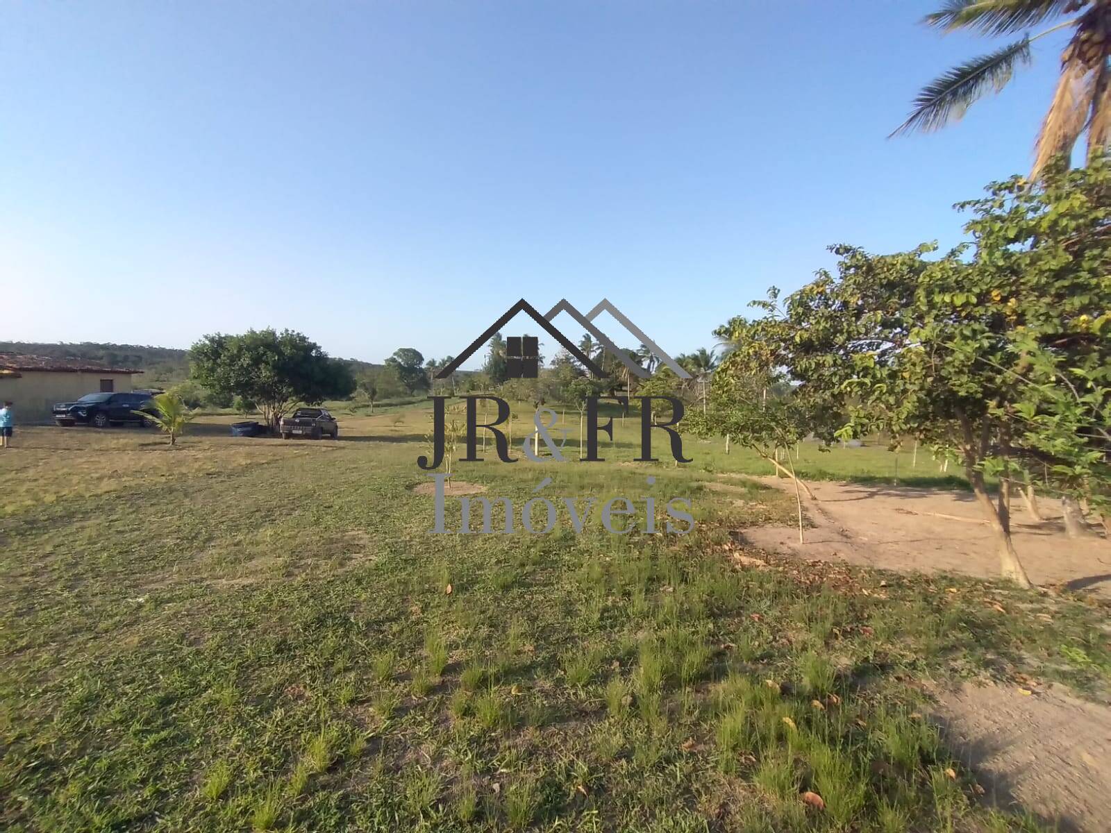 Fazenda à venda com 4 quartos, 560m² - Foto 6