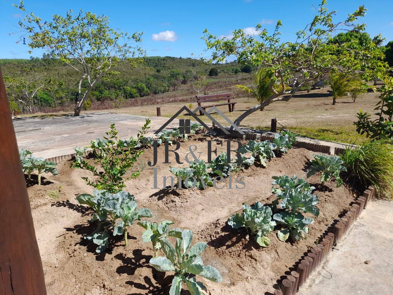 Fazenda à venda com 4 quartos, 560m² - Foto 9