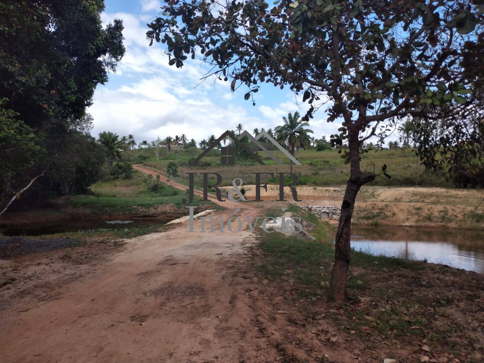 Fazenda à venda com 4 quartos, 560m² - Foto 7