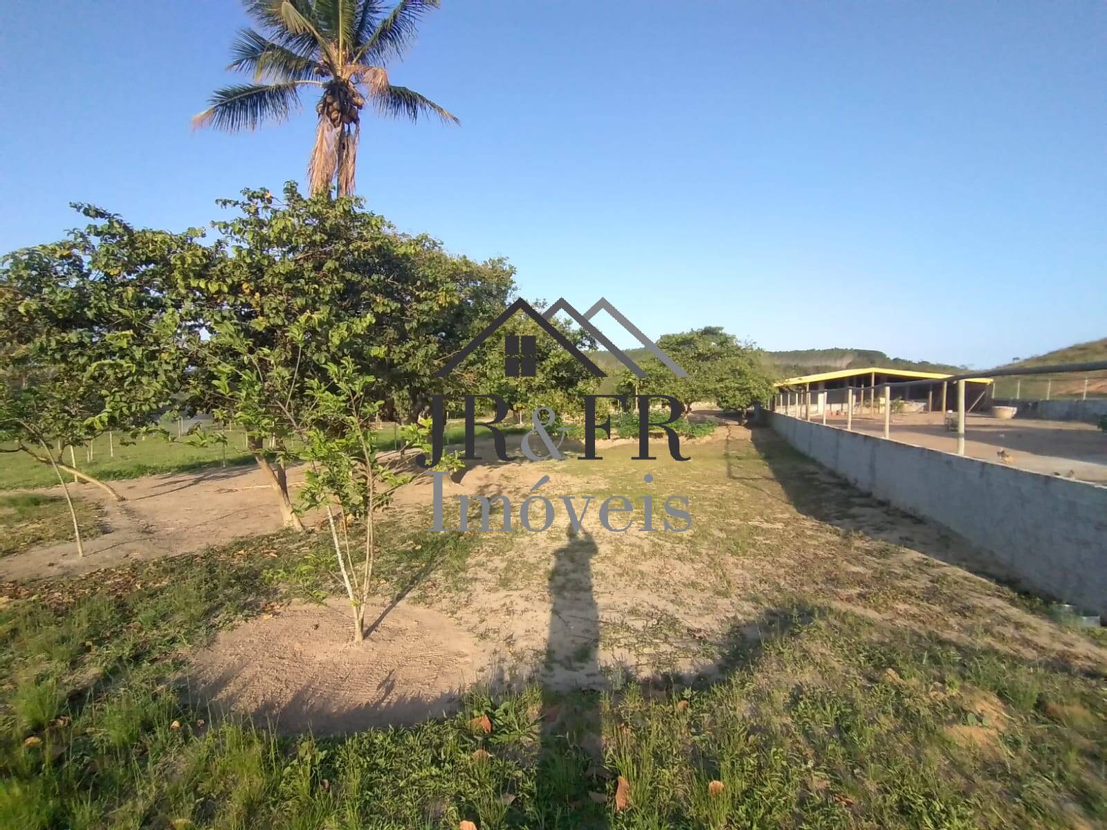 Fazenda à venda com 4 quartos, 560m² - Foto 10