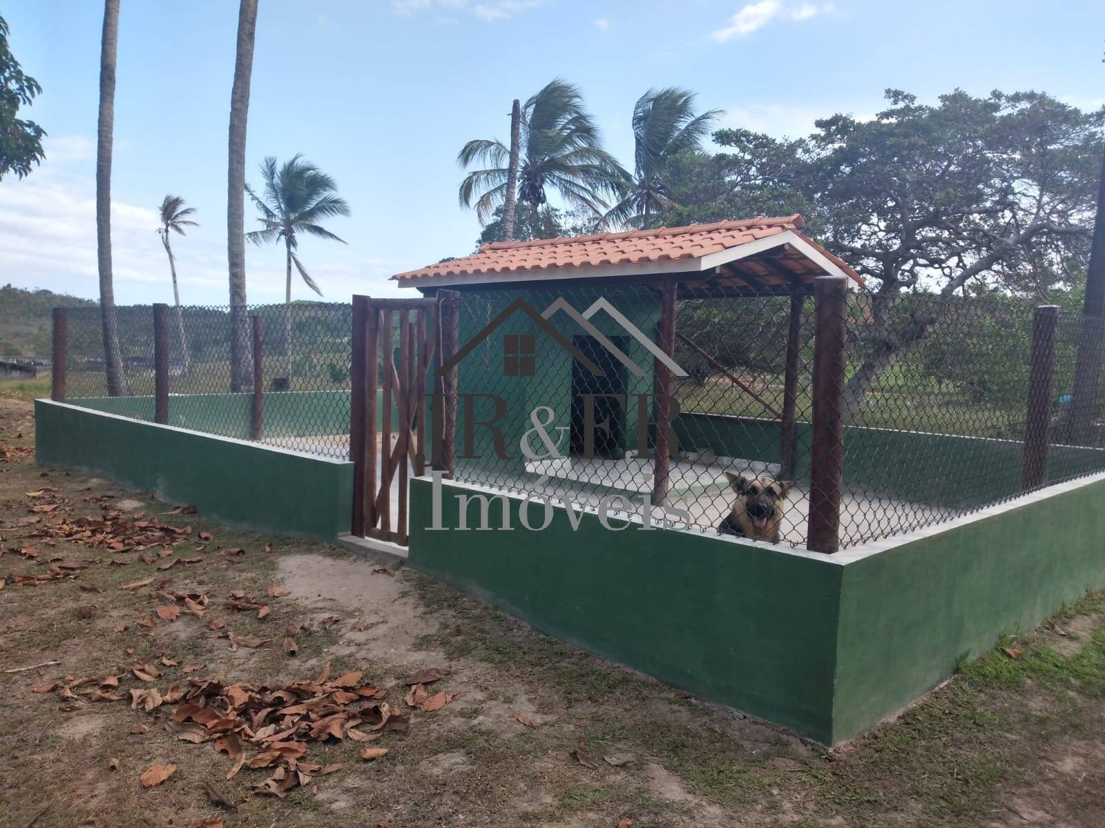 Fazenda à venda com 4 quartos, 560m² - Foto 19